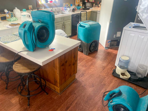 Best Sewage cleanup and water damage restoration  in New Hackensack, NY