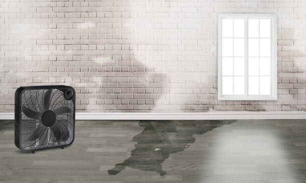 Best 24/7 water damage repair  in New Hackensack, NY