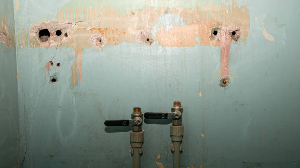 Reliable New Hackensack, NY Water damage restoration Solutions